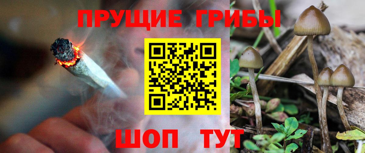 Ревда  Галлюциногенные грибы ЛСД  Вход с VPN 