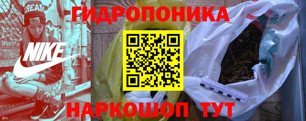 Шишки марихуана план Ревда